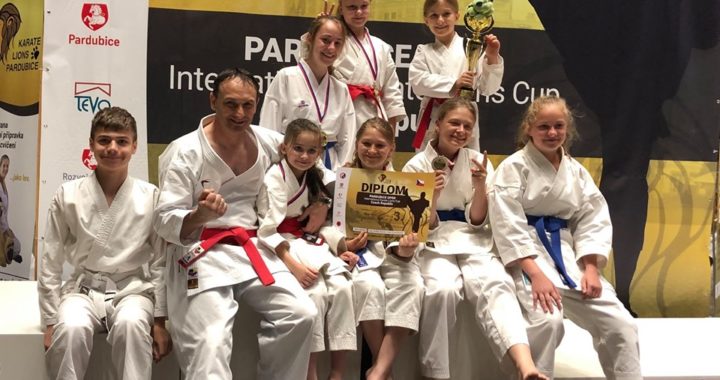 Pardubice Open 2019 – 7 International Karate Lions Cup