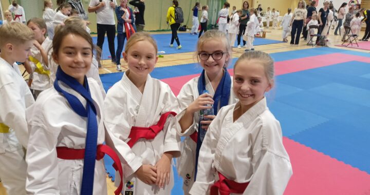 II Ogólnopolski Turniej Karate Silver Cup